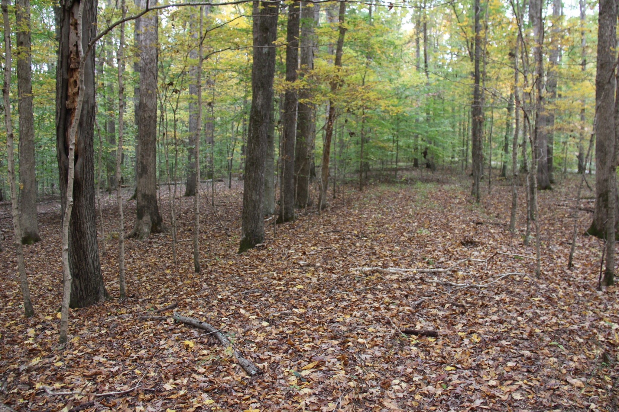 0 Jackson Cabin Road Kingston Springs TN 37082