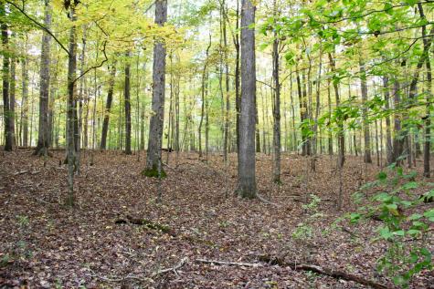 0 Jackson Cabin Road Kingston Springs TN 37082