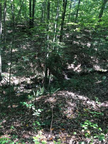 0 Jackson Cabin Road Kingston Springs TN 37082