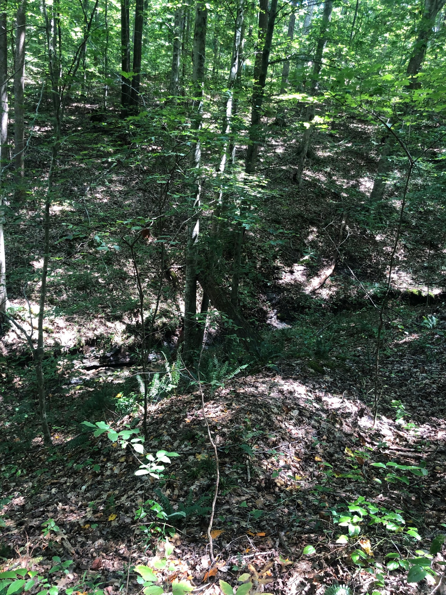 0 Jackson Cabin Road Kingston Springs TN 37082