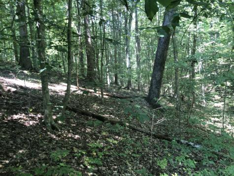 0 Jackson Cabin Road Kingston Springs TN 37082