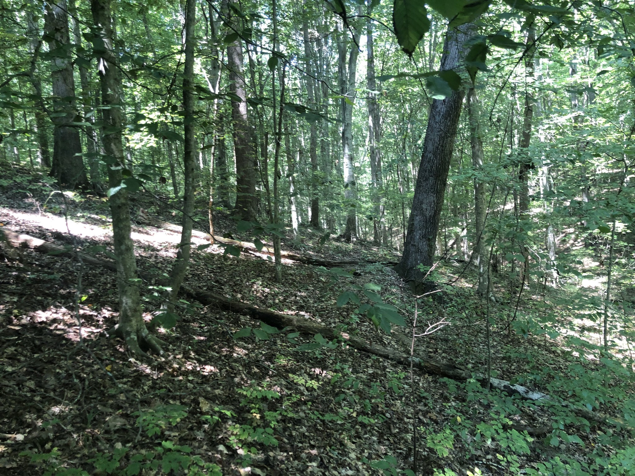 0 Jackson Cabin Road Kingston Springs TN 37082