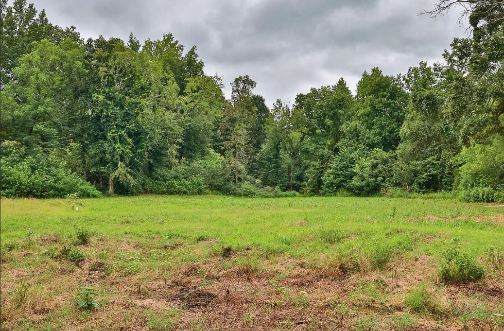 0 Red Williams Road Huntingdon TN 38344