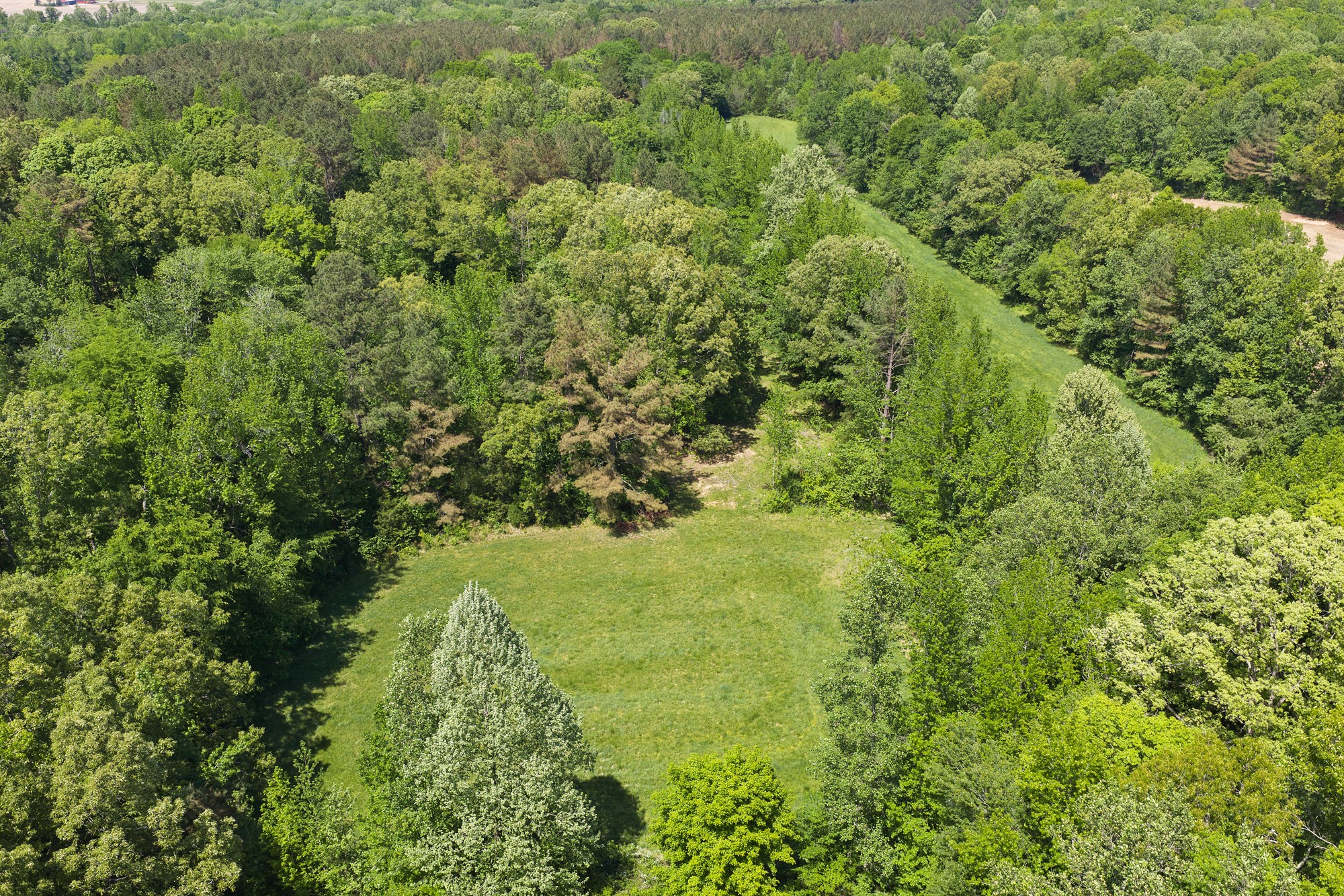 0 Red Williams Road Huntingdon TN 38344