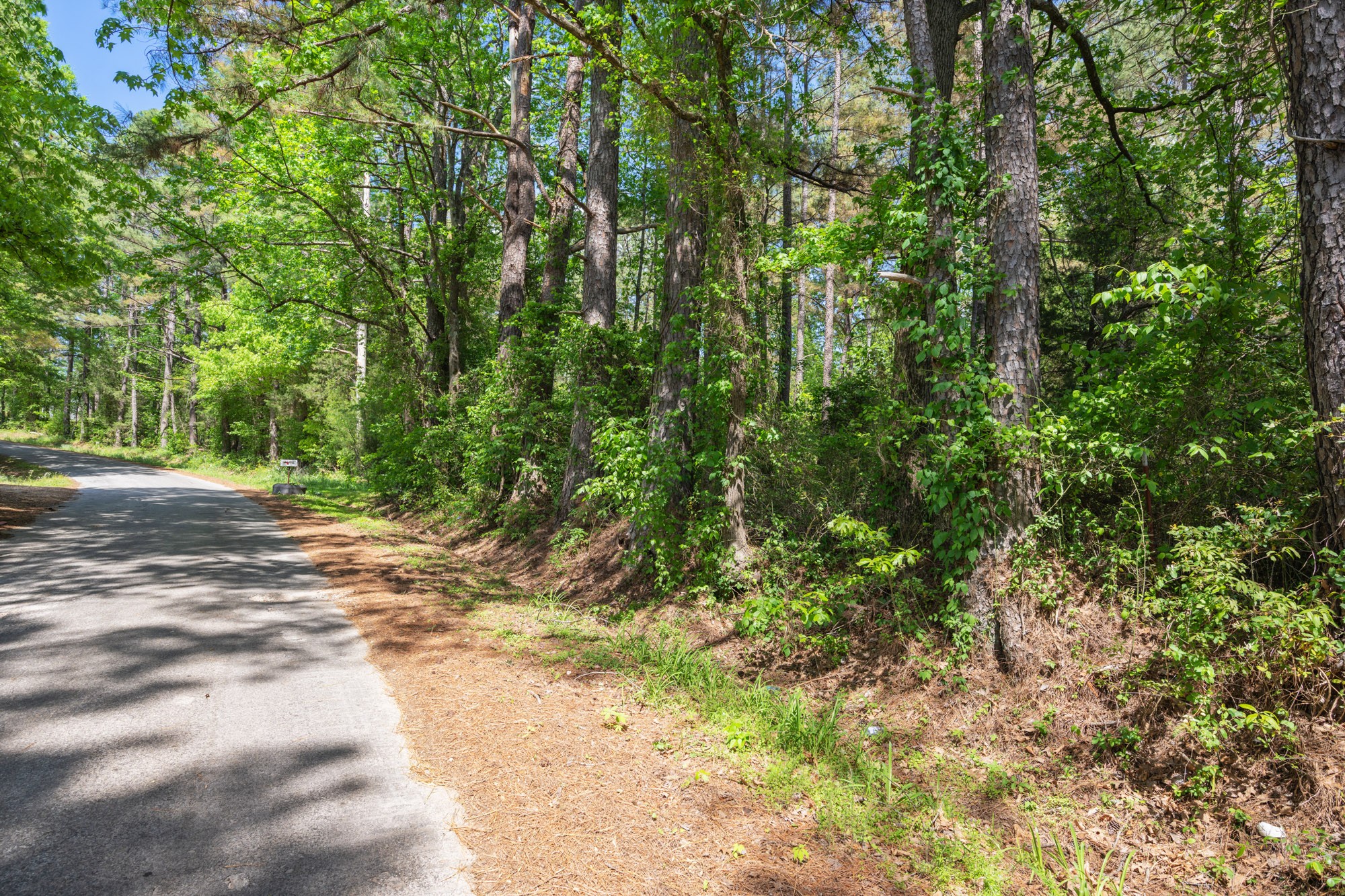 0 Red Williams Road Huntingdon TN 38344