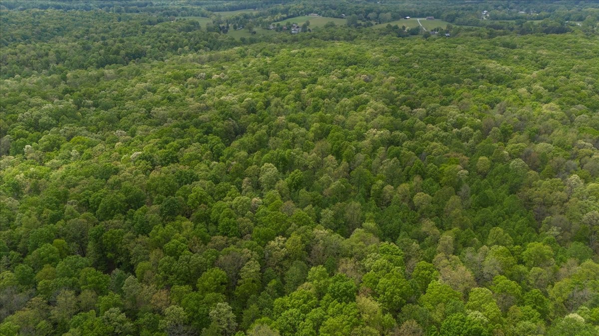 0 Indian Creek Road Mc Ewen TN 37101