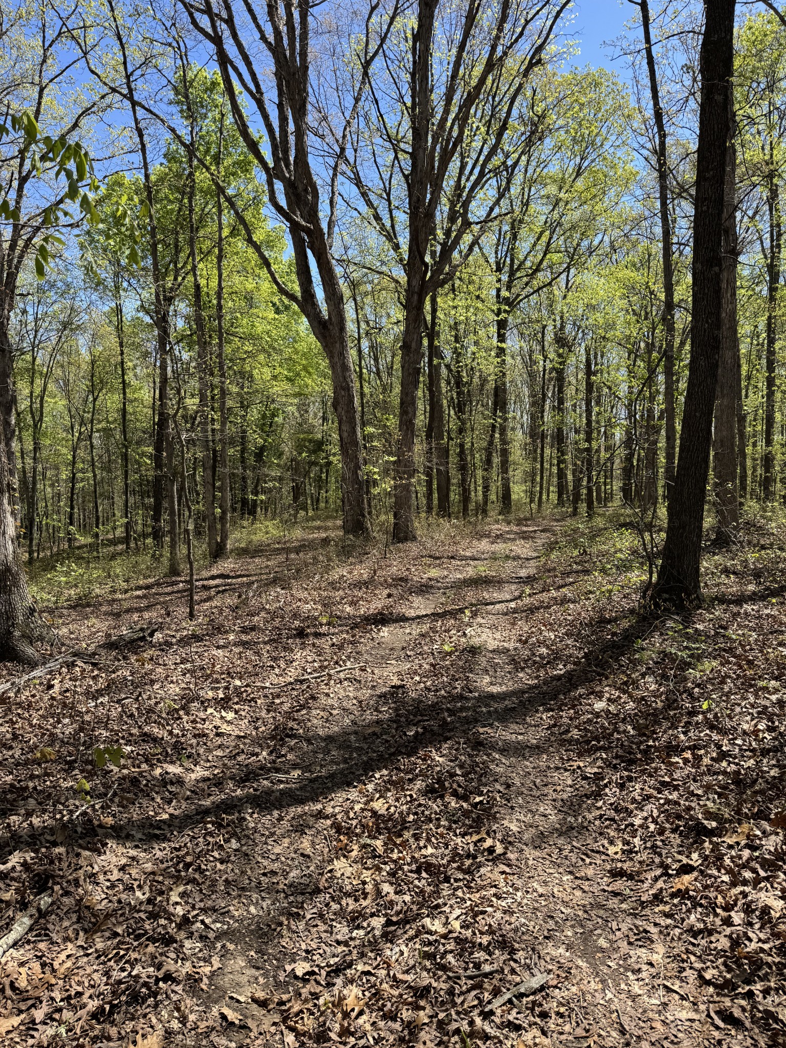 0 Indian Creek Road Mc Ewen TN 37101