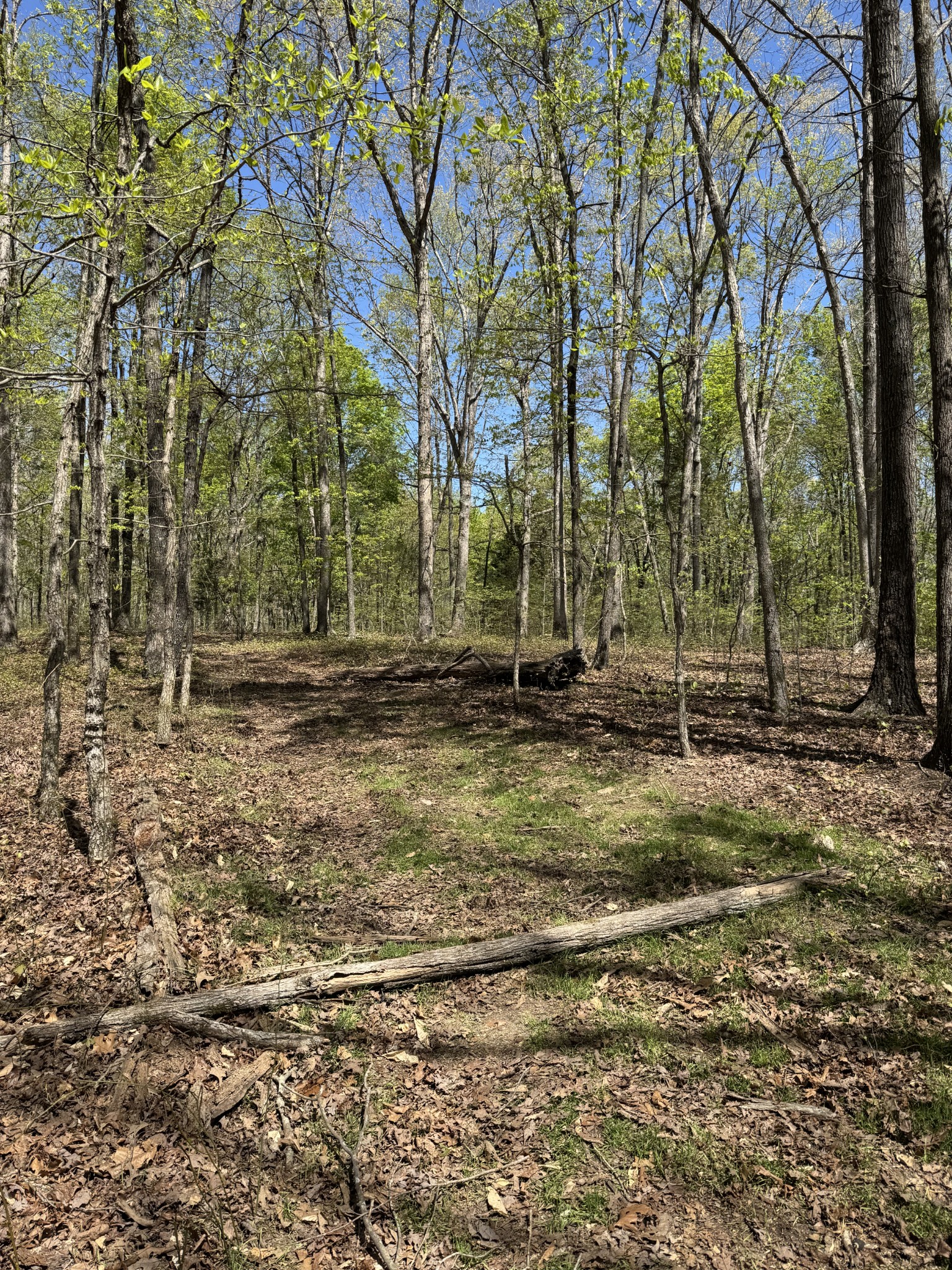 0 Indian Creek Road Mc Ewen TN 37101