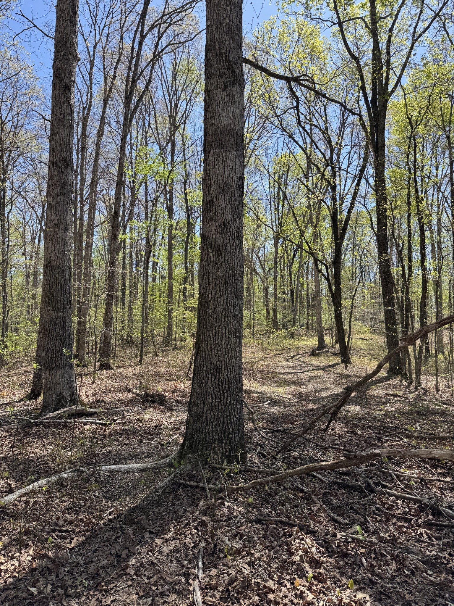 0 Indian Creek Road Mc Ewen TN 37101