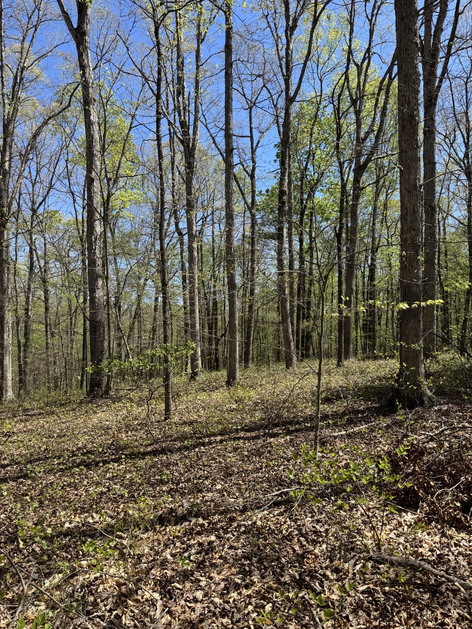 0 Indian Creek Road Mc Ewen TN 37101