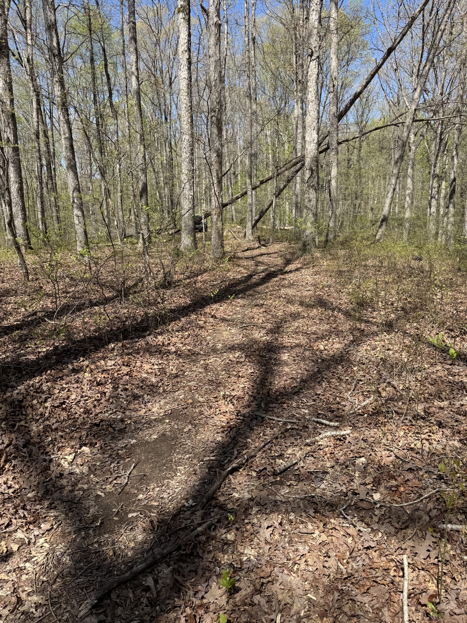 0 Indian Creek Road Mc Ewen TN 37101