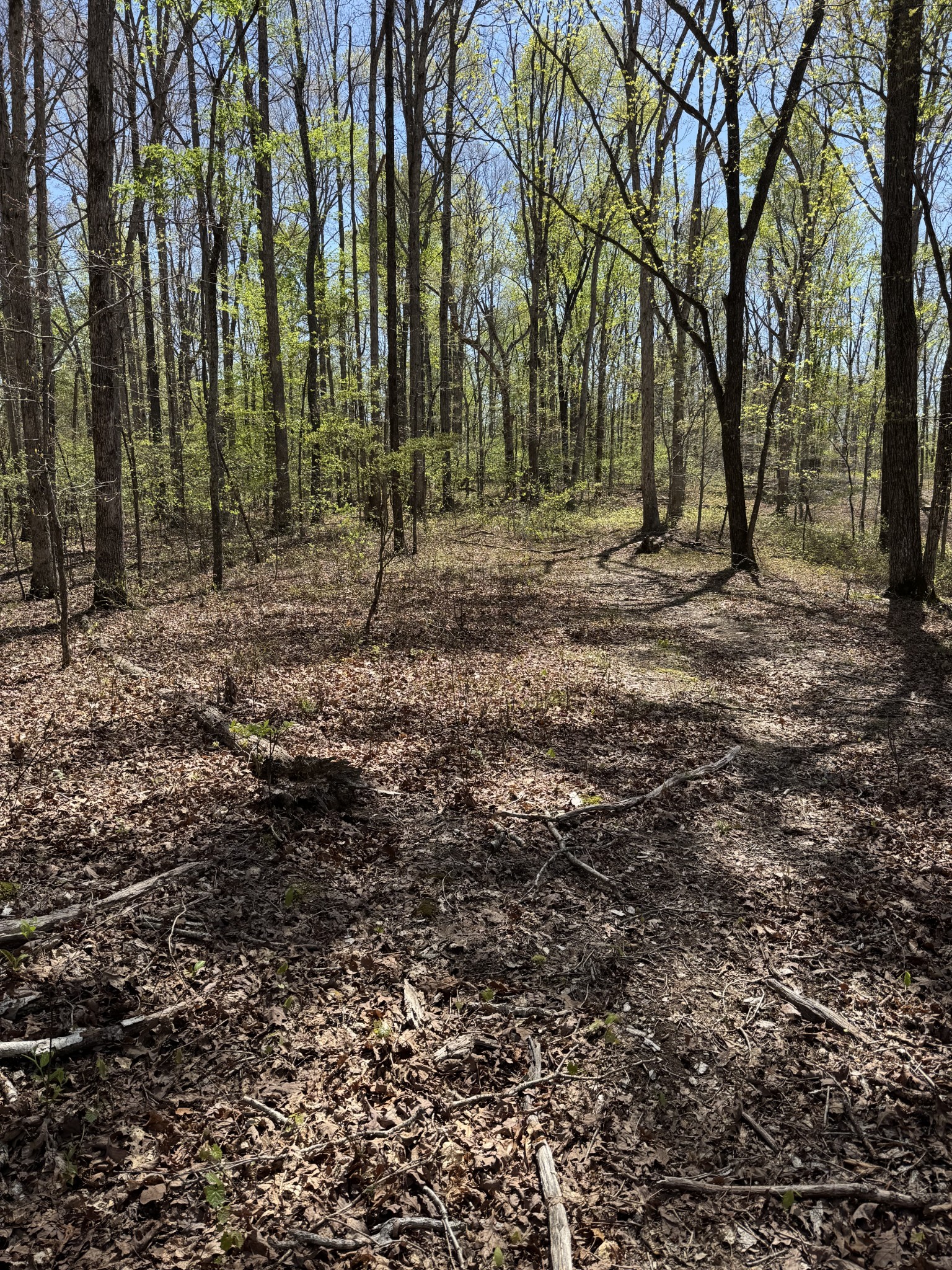 0 Indian Creek Road Mc Ewen TN 37101