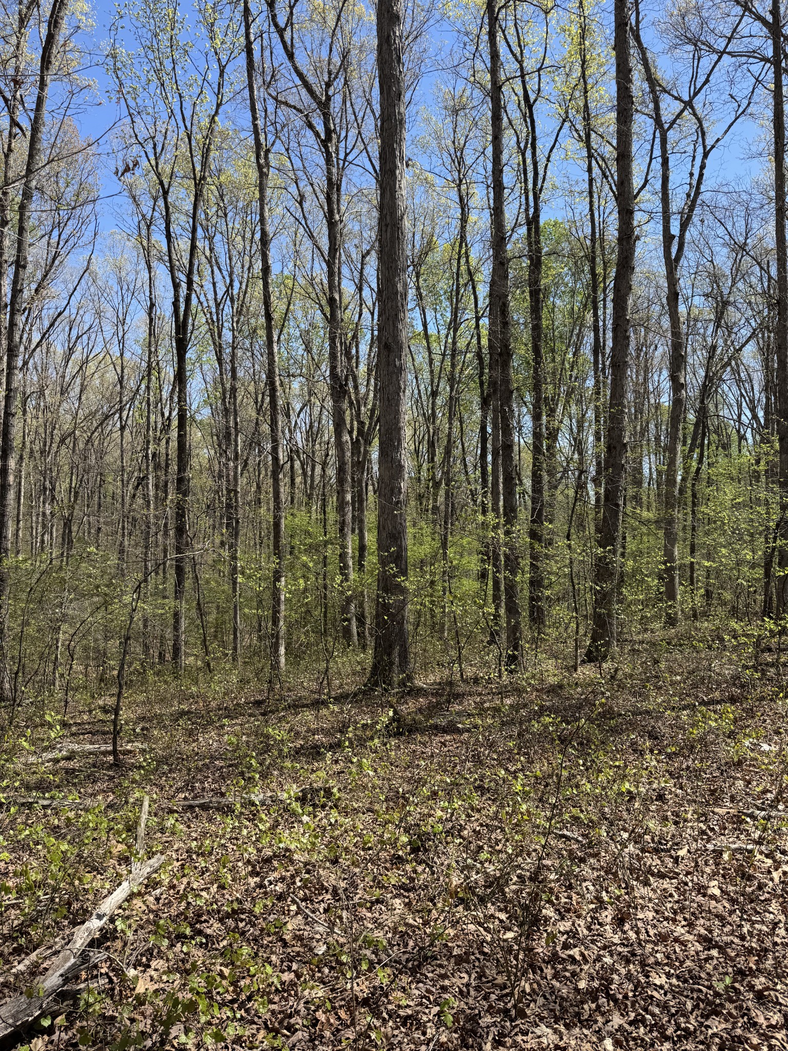 0 Indian Creek Road Mc Ewen TN 37101