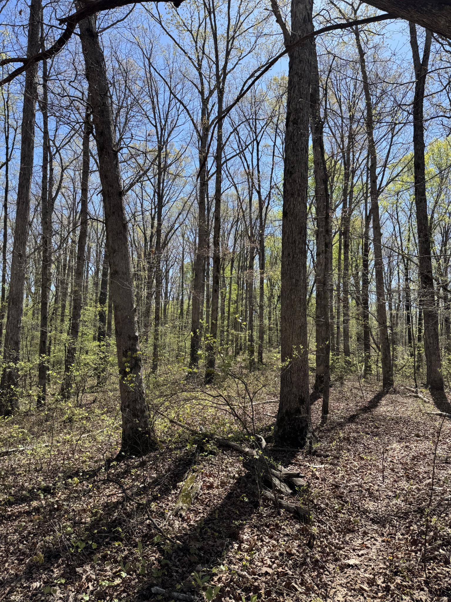 0 Indian Creek Road Mc Ewen TN 37101