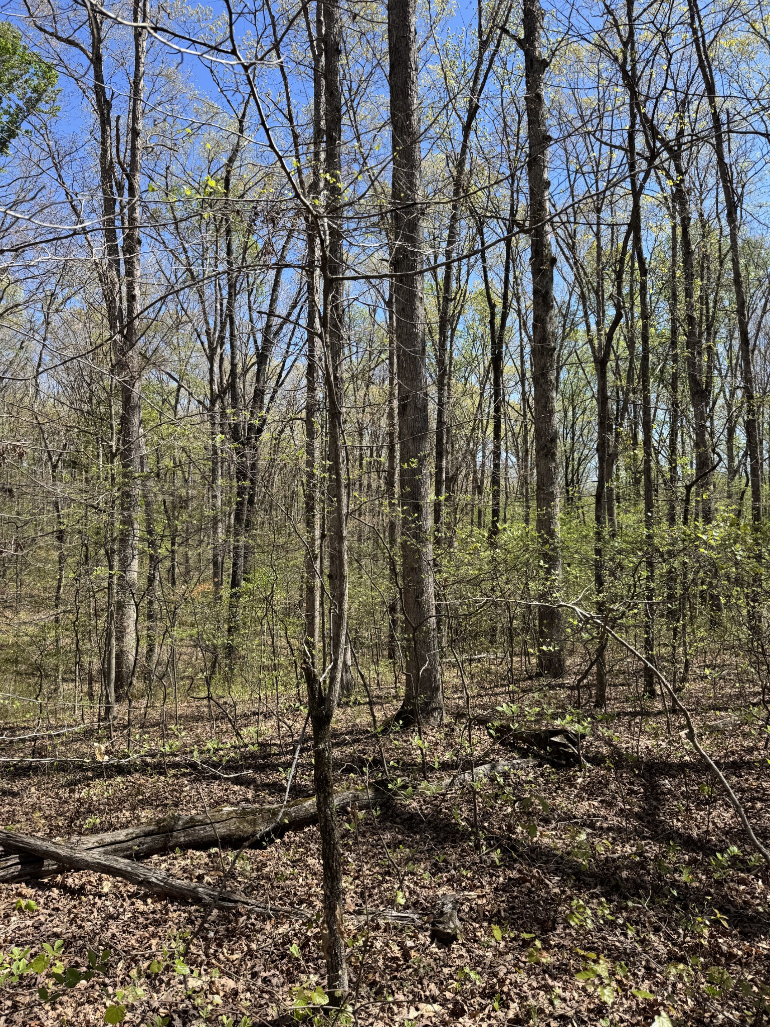 0 Indian Creek Road Mc Ewen TN 37101