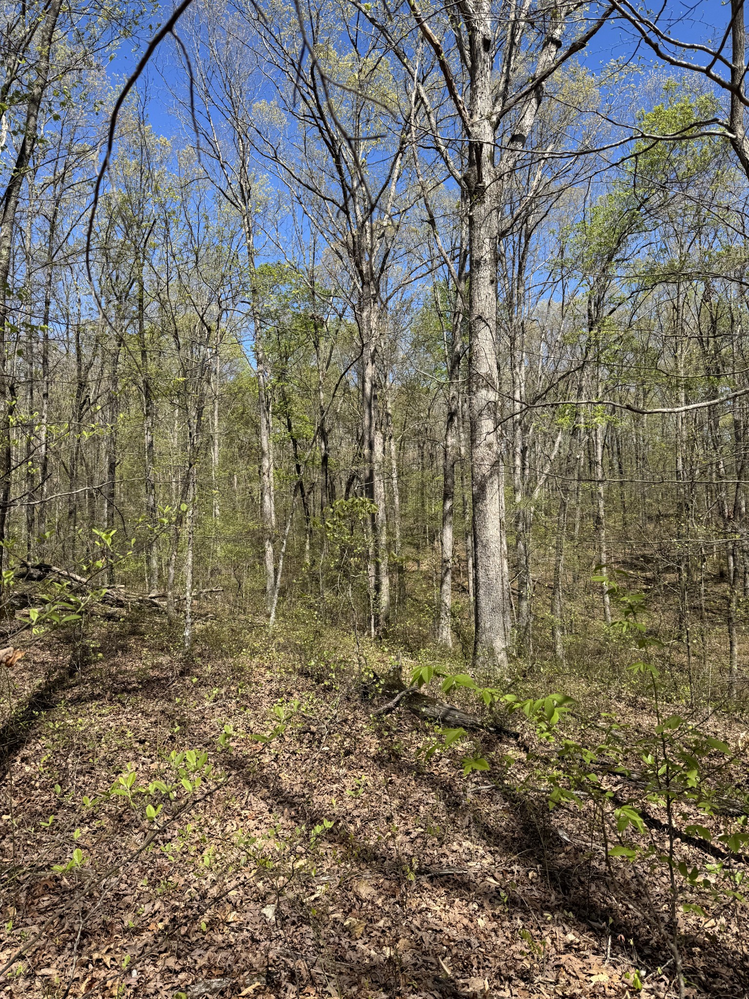 0 Indian Creek Road Mc Ewen TN 37101