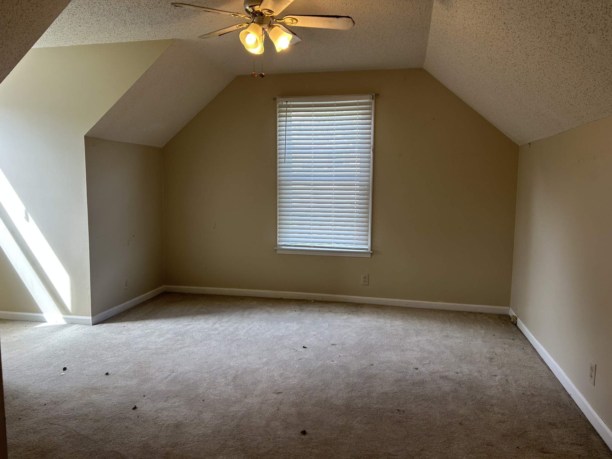 2319 Seven Mile Ferry Road Clarksville TN 37040