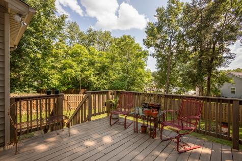 1505 Raylee Drive Chapel Hill TN 37034