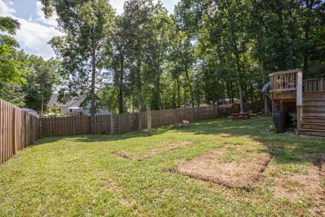 1505 Raylee Drive Chapel Hill TN 37034