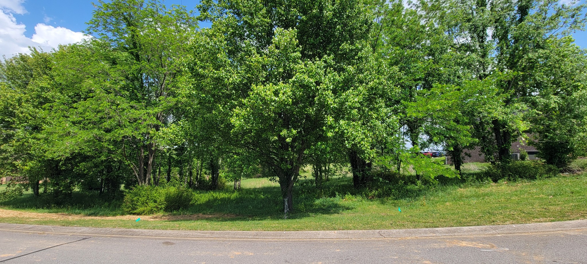 0 Country Club Drive Dickson TN 37055