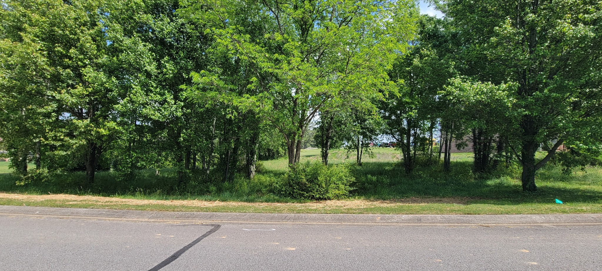 0 Country Club Drive Dickson TN 37055