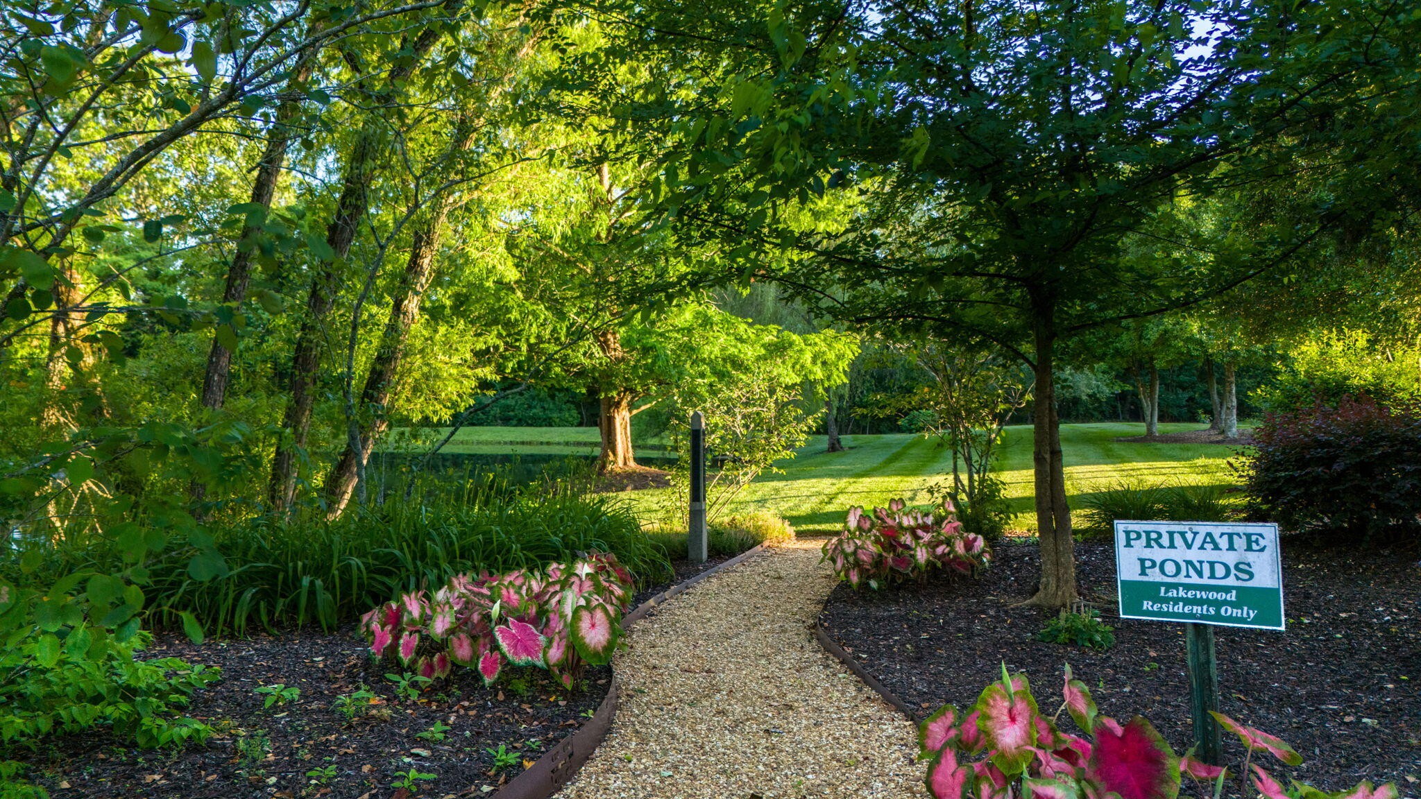 2415 Yellowood Court, NW Cleveland TN 37312