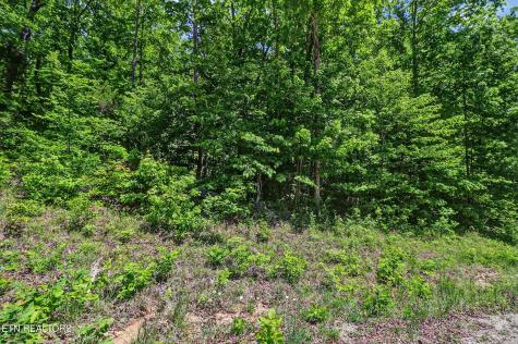 0 Junaluska Highway Jamestown TN 38556
