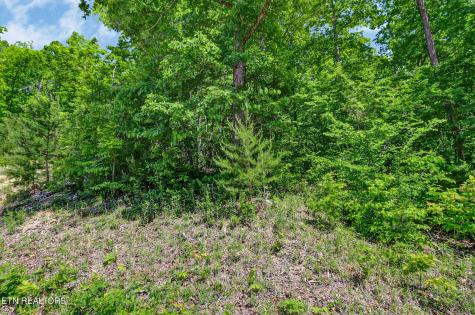 0 Junaluska Highway Jamestown TN 38556