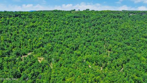 0 Junaluska Highway Jamestown TN 38556
