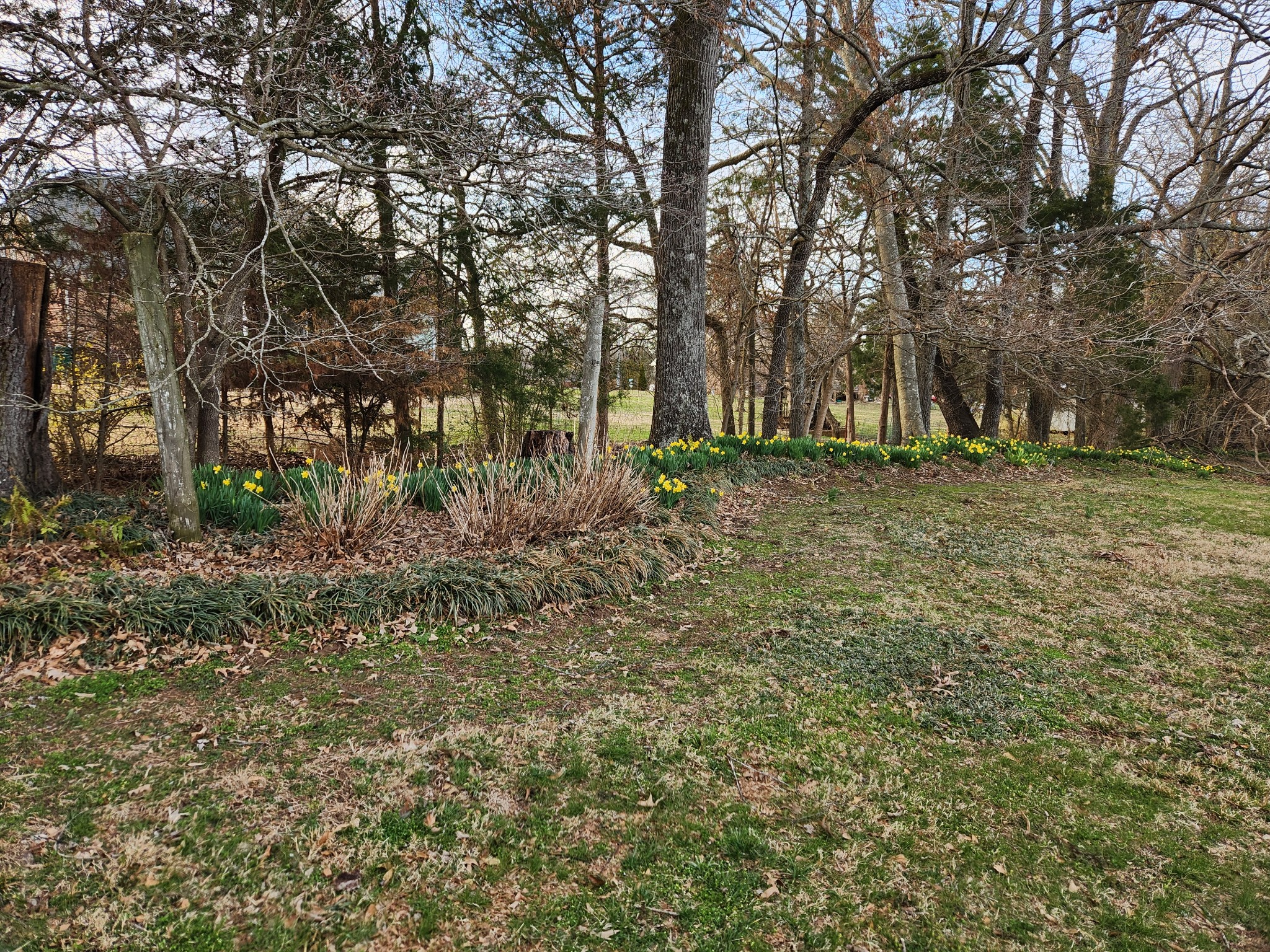 630 Shadowbrook Road Winchester TN 37398