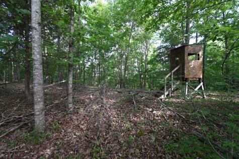 0 Lower Crooked Creek Road Lobelville TN 37097