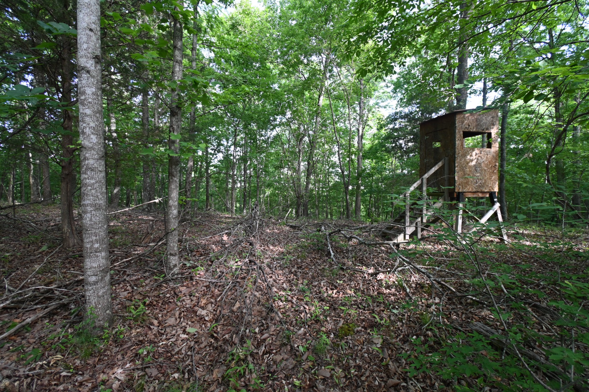0 Lower Crooked Creek Road Lobelville TN 37097