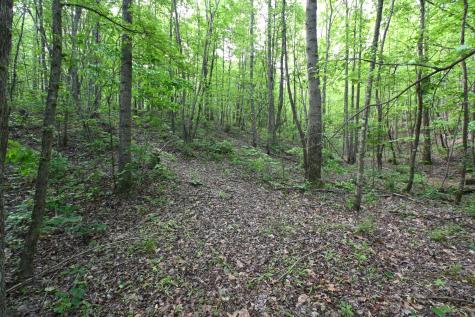 0 Lower Crooked Creek Road Lobelville TN 37097