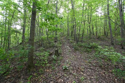0 Lower Crooked Creek Road Lobelville TN 37097