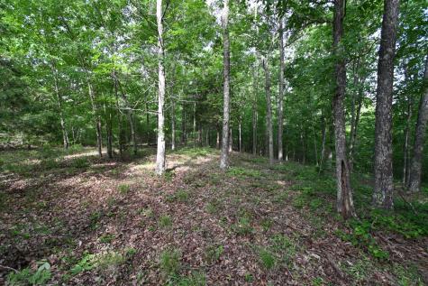 0 Lower Crooked Creek Road Lobelville TN 37097
