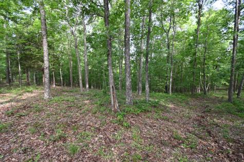 0 Lower Crooked Creek Road Lobelville TN 37097