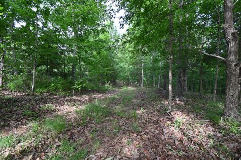 0 Lower Crooked Creek Road Lobelville TN 37097
