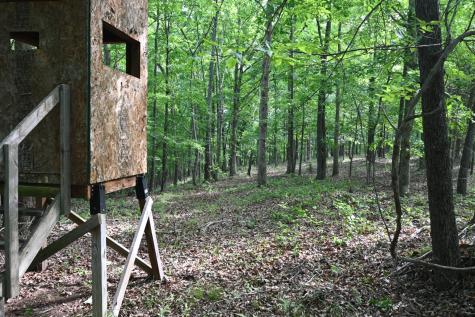0 Lower Crooked Creek Road Lobelville TN 37097