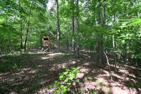 0 Lower Crooked Creek Road Lobelville TN 37097