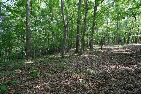 0 Lower Crooked Creek Road Lobelville TN 37097
