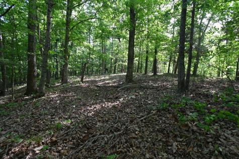 0 Lower Crooked Creek Road Lobelville TN 37097