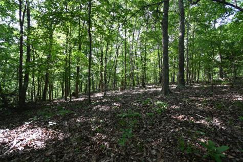 0 Lower Crooked Creek Road Lobelville TN 37097