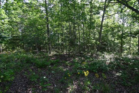 0 Lower Crooked Creek Road Lobelville TN 37097