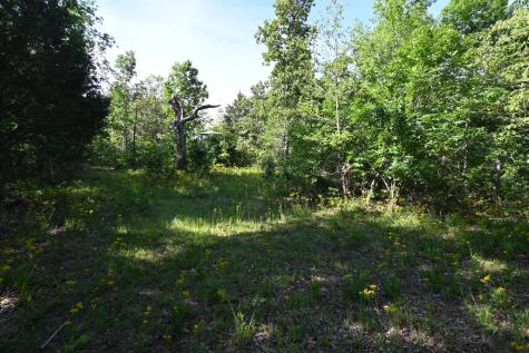 0 Lower Crooked Creek Road Lobelville TN 37097