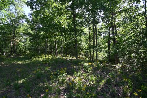 0 Lower Crooked Creek Road Lobelville TN 37097