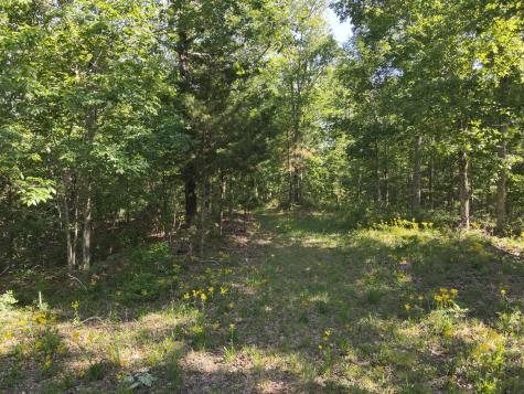 0 Lower Crooked Creek Road Lobelville TN 37097