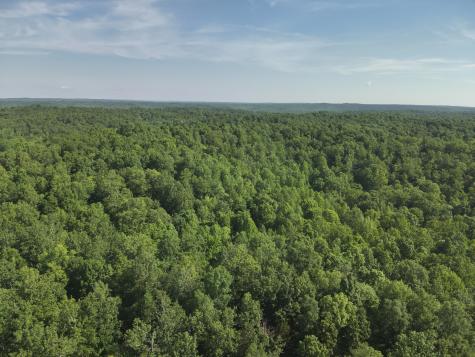 0 Lower Crooked Creek Road Lobelville TN 37097