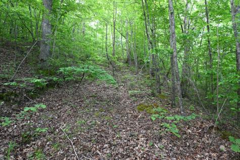 0 Lower Crooked Creek Road Lobelville TN 37097