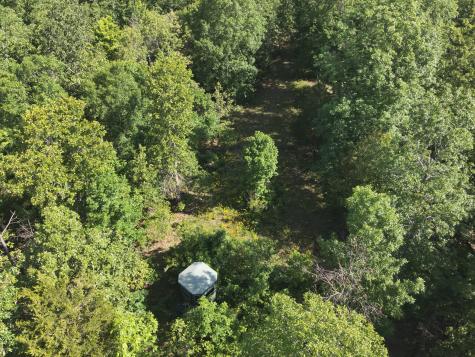 0 Lower Crooked Creek Road Lobelville TN 37097