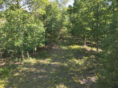 0 Lower Crooked Creek Road Lobelville TN 37097